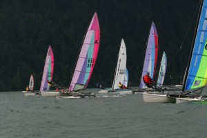 Great trapping form upwind after the gate